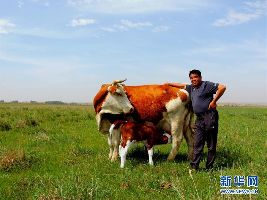 （奮斗百年路　啟航新征程·“七一勛章”獲得者·圖文互動(dòng)）（4）“草原之子”廷·巴特爾：讓草原綠起來，幫牧民富起來